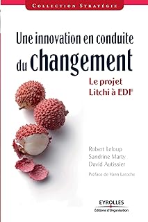 Une innovation en conduite du changement: Le projet Litchi à EDF